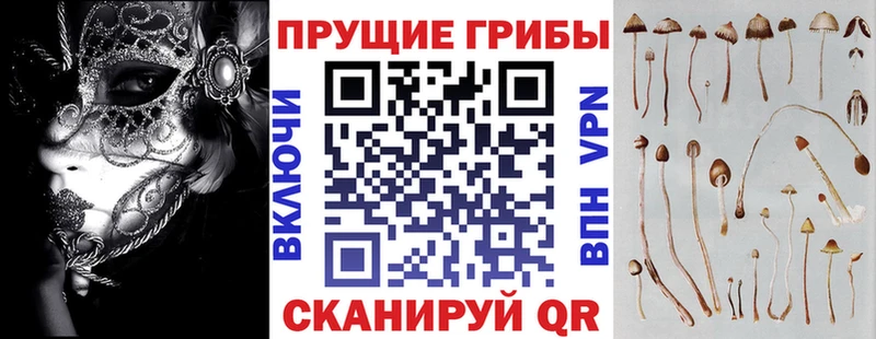 Галлюциногенные грибы Cubensis  купить  цена  Переславль-Залесский 
