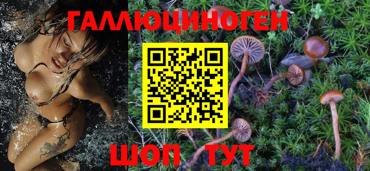 Галлюциногенные грибы MAGIC MUSHROOMS  Вход с VPN  Переславль-Залесский 