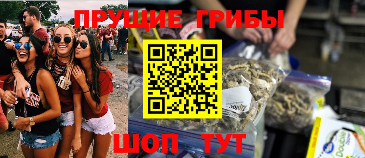 Галлюциногенные грибы Cubensis Переславль-Залесский